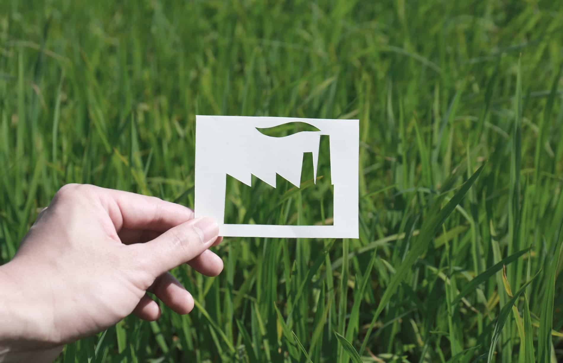 Two Sides: Greenwashing